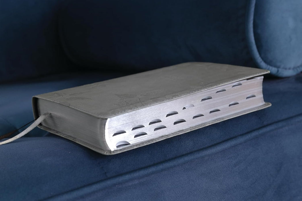 NIV, Compact Center-Column Reference Bible, Leathersoft, Stone, Red Letter, Thumb Indexed, Comfort Print