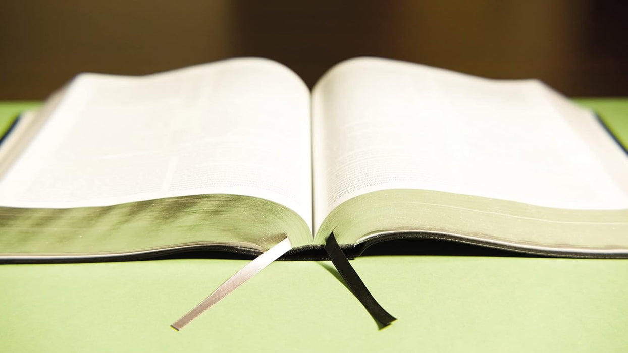 NIV Grace and Truth Study Bible, Comfort Print--European bonded leather, black - Morning Star Christian Bookstores