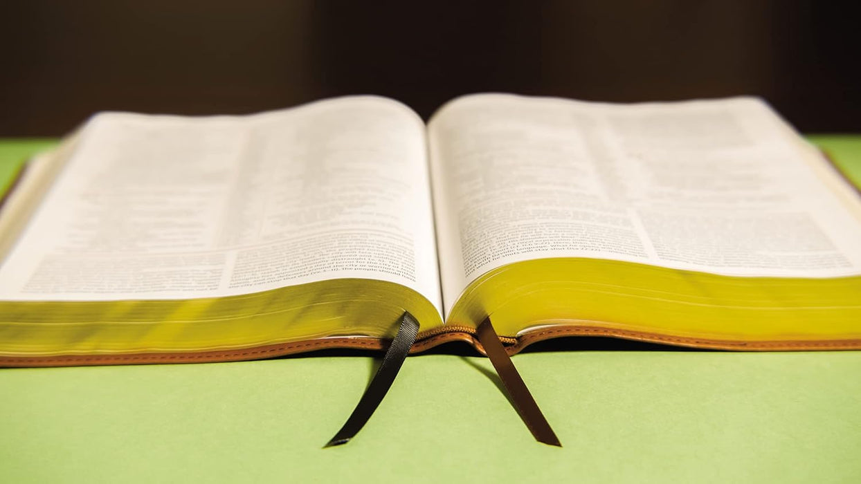 NIV, The Grace and Truth Study Bible, Leathersoft, Brown, Red Letter, Comfort Print - Morning Star Christian Bookstores