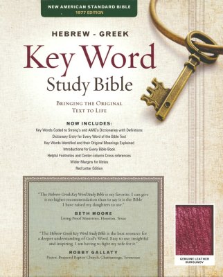 NASB HEBREW/GREEK KEYWORD STUDY BIBLE GEN BURGUNDY