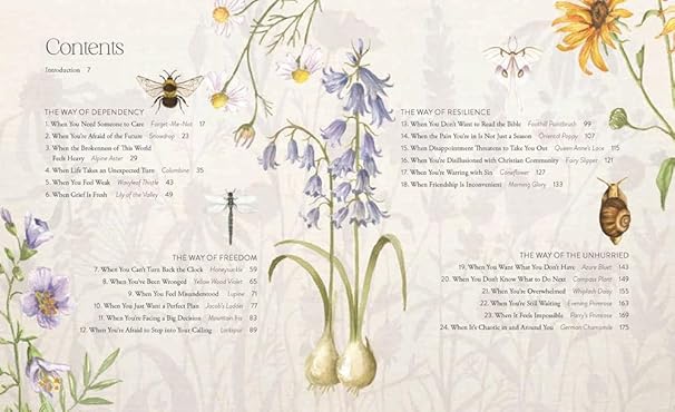 The Way of the Wildflower: Gospel Meditations to Unburden Your Anxious Soul - Ruth Chou Simons