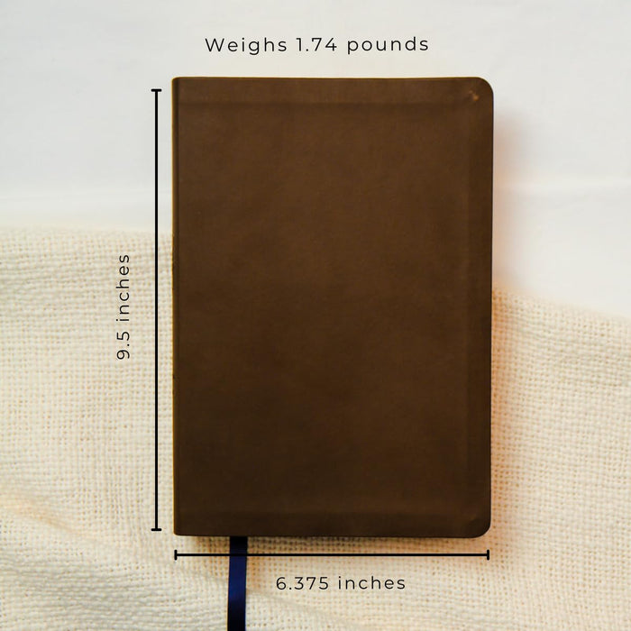 ESV The Bible Recap 365-Day Chronological Study Bible, Brown Imitation Leather