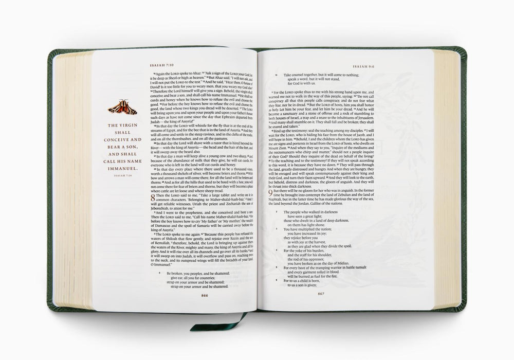 ESV GraceLaced Bible, Journaling Edition (Artwork by Ruth Chou Simons). TruTone®, Quiet Forest
