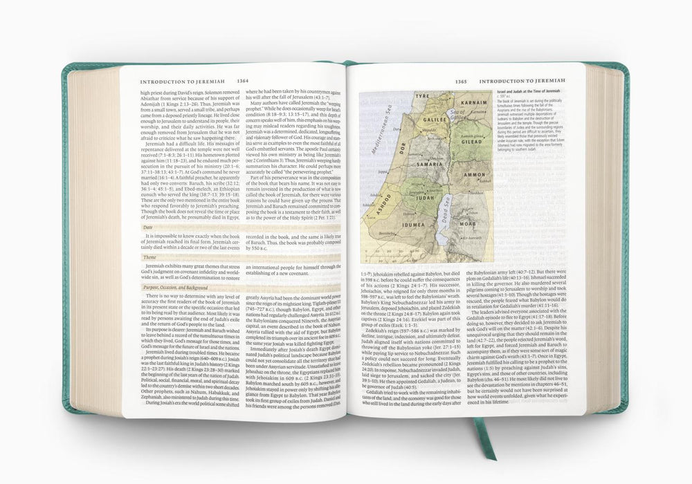 ESV Study Bible, TruTone®, Turquoise, Emblem Design