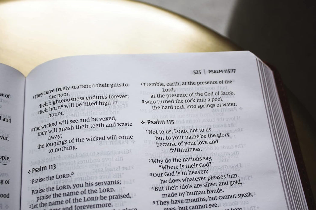 NIV, Thinline Bible, Leathersoft, Brown