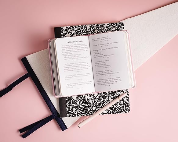 God's Promises for Graduates-Class of 2025 Pink - Morning Star Christian Bookstores