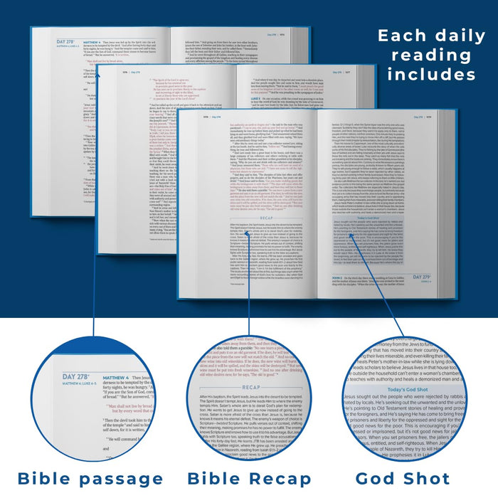ESV The Bible Recap 365-Day Chronological Study Bible, Hardcover
