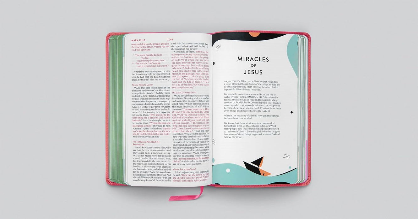 ESV Kid’s Bible, Thinline, Red Letter (TruTone, Berry, The True Vine Design)