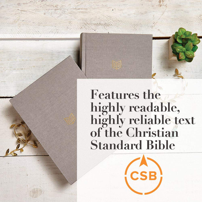 CSB SHE READS TRUTH BIBLE, GRAY LINEN