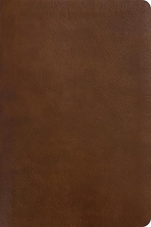 NLT One Year Chronological Study BibleLeatherLike, Rustic Brown