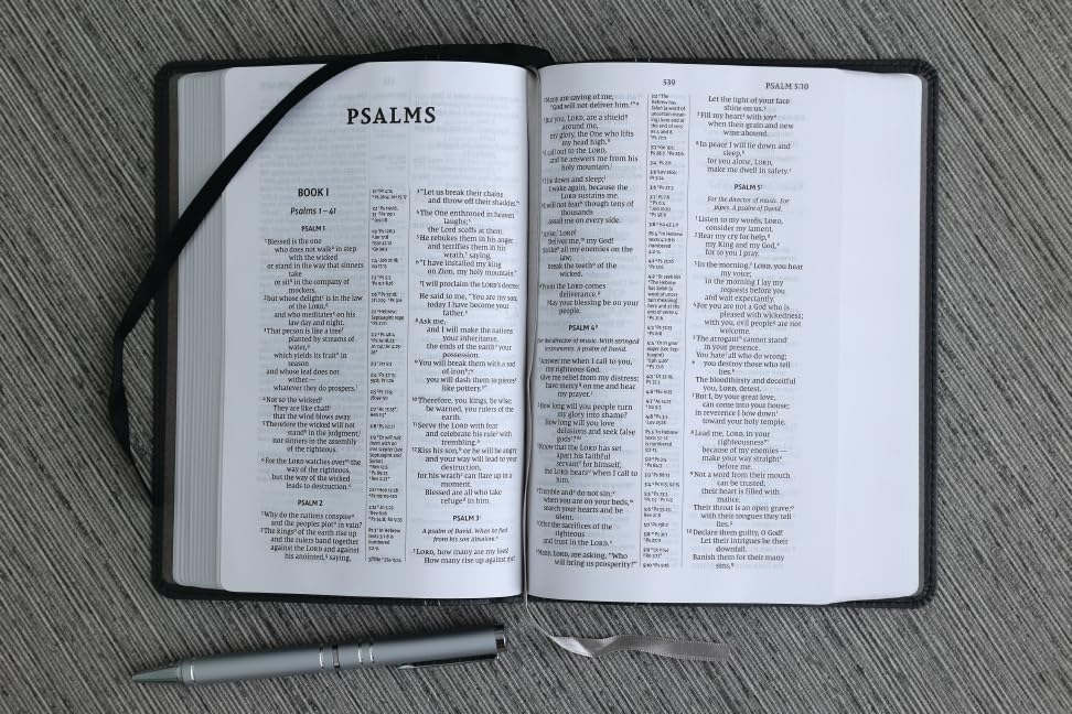 NIV, Compact Center-Column Reference Bible, Leathersoft, Black, Red Letter, Comfort Print