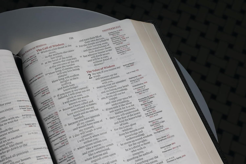 ESV Thompson Chain Reference Bible-Lg Print