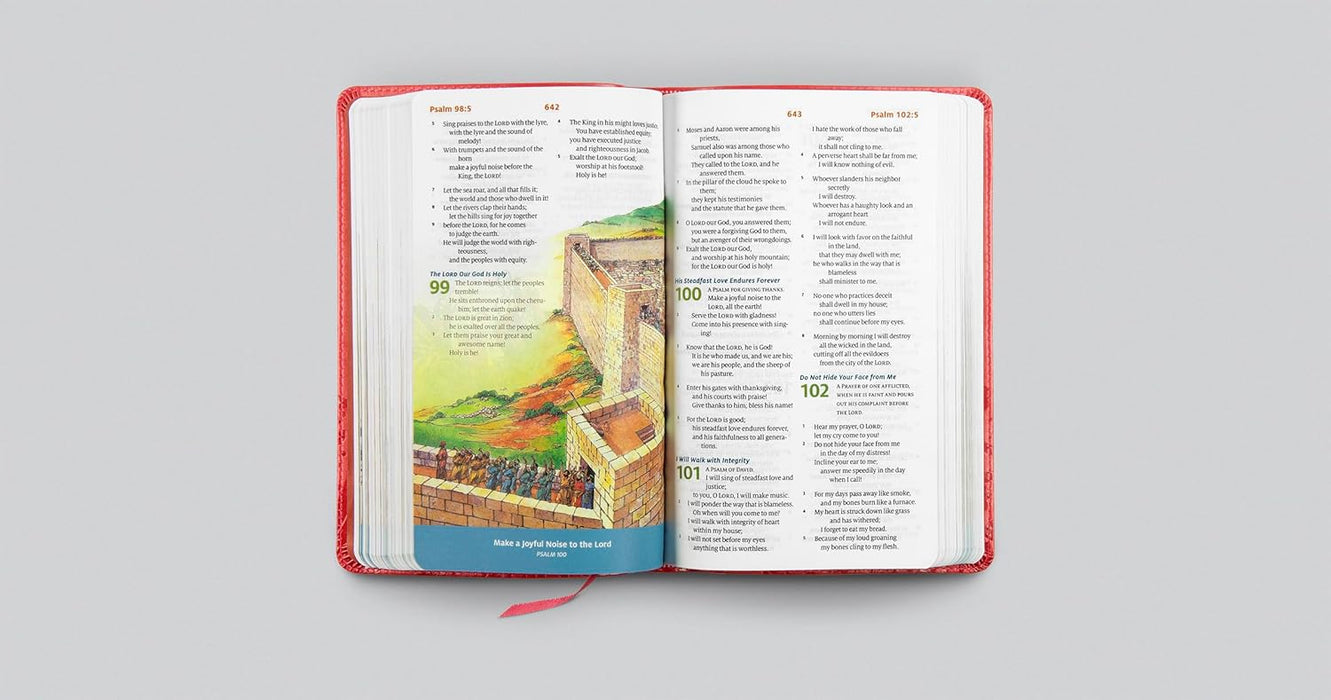 ESV Children's Bible - Coral - Morning Star Christian Bookstores