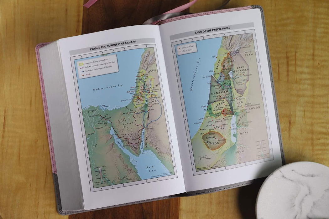 NIV Personal Size Bible Lg Print Pink/Gray Leathersoft
