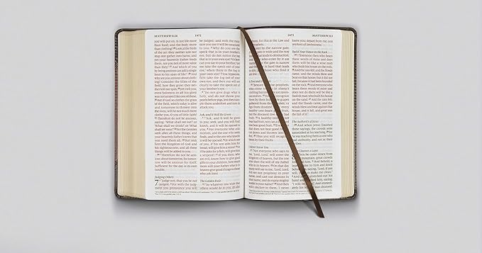 ESV Lg Print Personal Size Bible TruTone Chestnut