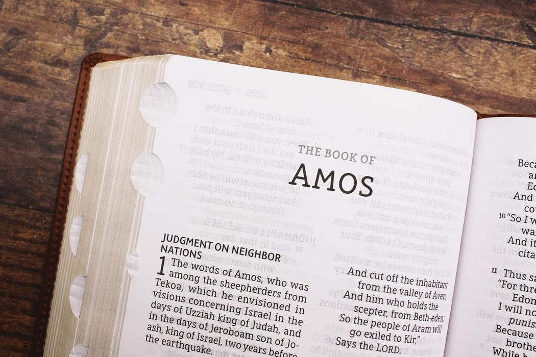 NASB, Personal Size Bible, Large Print, Leathersoft, Brown, Red Letter, 1995 Text, Thumb Indexed, Comfort Print