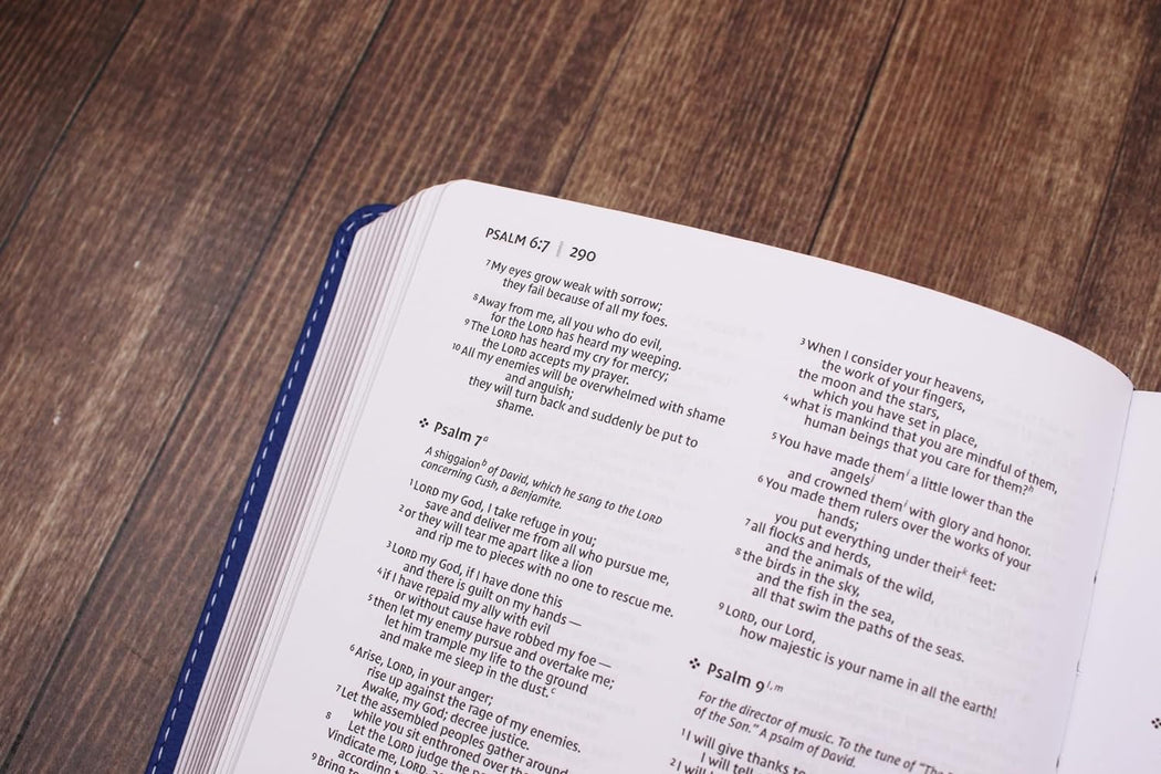 NIV Premium Gift Bible Youth Ed Leathersoft Blue - Morning Star Christian Bookstores