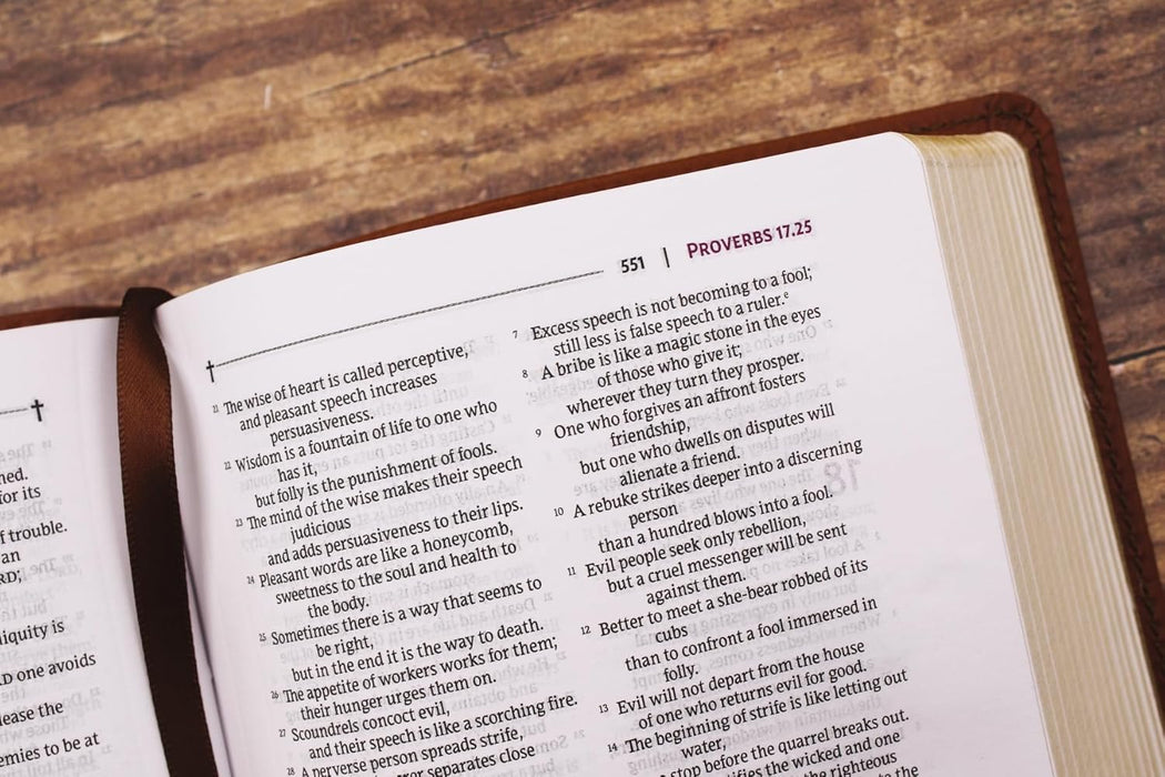 NRSVue, Holy Bible with Apocrypha, Compact, Leathersoft, Brown, Comfort Print - Morning Star Christian Bookstores