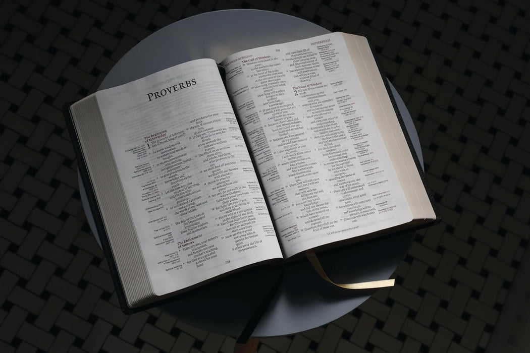 ESV Thompson Chain Reference Bible-Lg Print