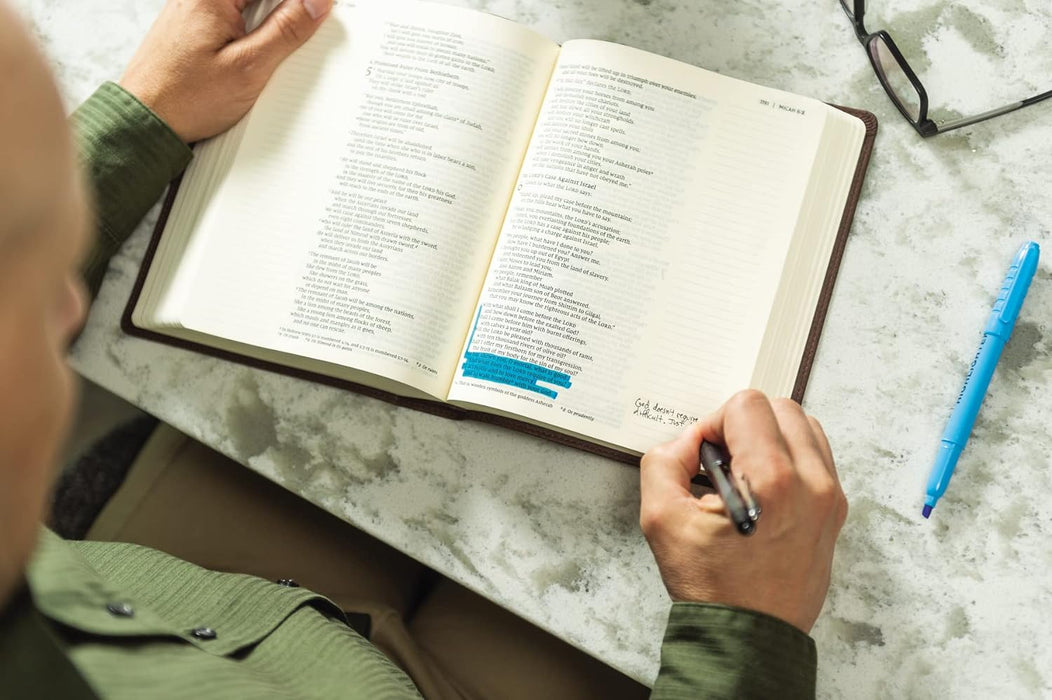 NIV Journal the Word Bible Leathersoft Brown Red Letter Comfort Print