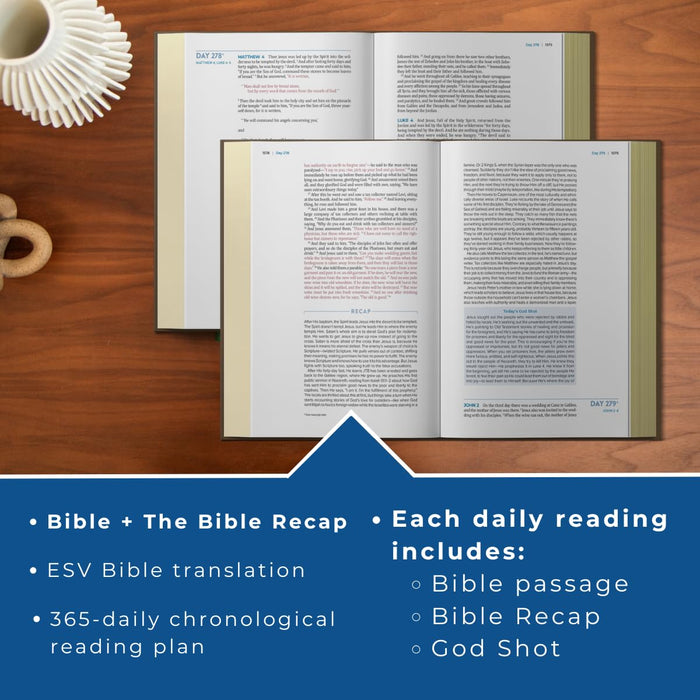 ESV The Bible Recap 365-Day Chronological Study Bible, Brown Imitation Leather