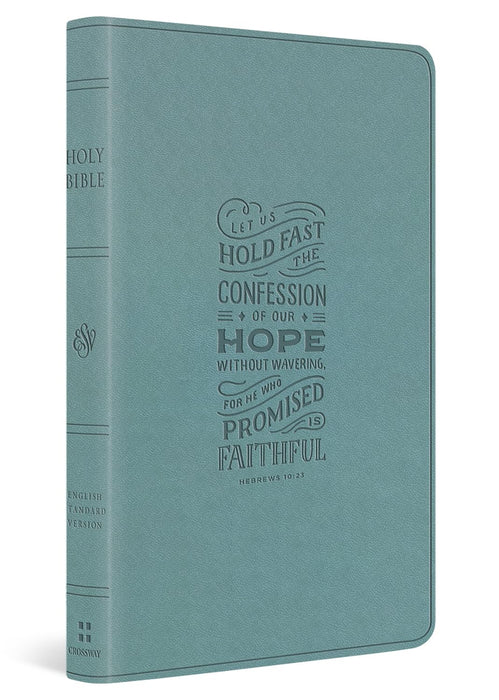 ESV Large Print Value Thinline Bible (TruTone, Paris Sky, Hebrews 10:23 Design
