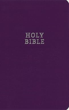 NIV Gift and Award Bible for Kids Prpl Flexcover - Morning Star Christian Bookstores