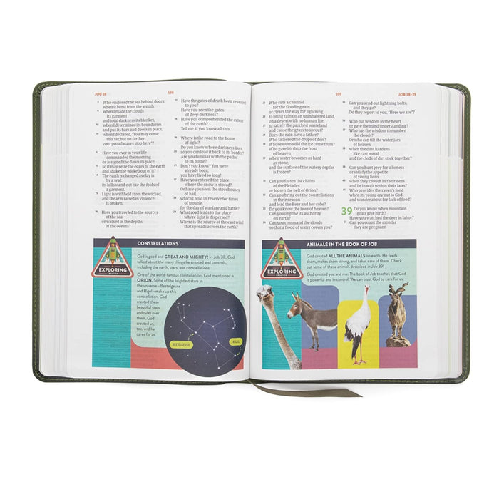 CSB Explorer Bible for Kids