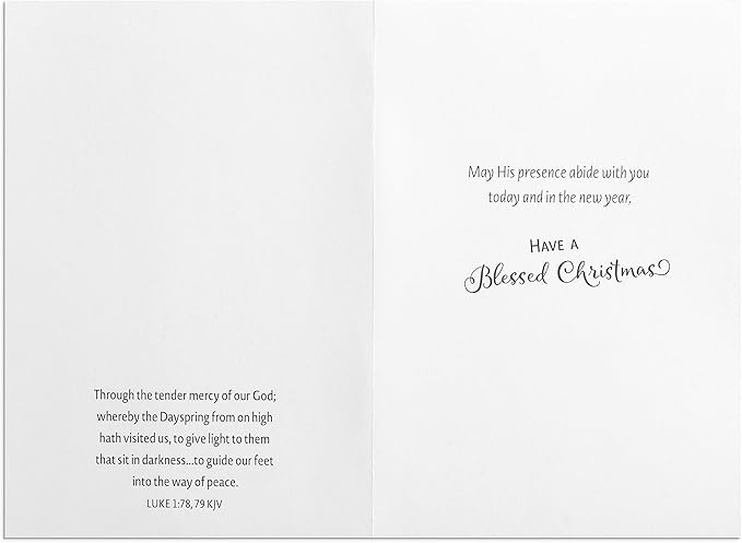 ona Gelsinger - Snowman Gazer & Friends - 18 Christmas Boxed Cards With Blue Envelopes, KJV