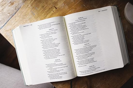 NIV, Artisan Collection Bible, Large Print, Leathersoft, Sage Floral