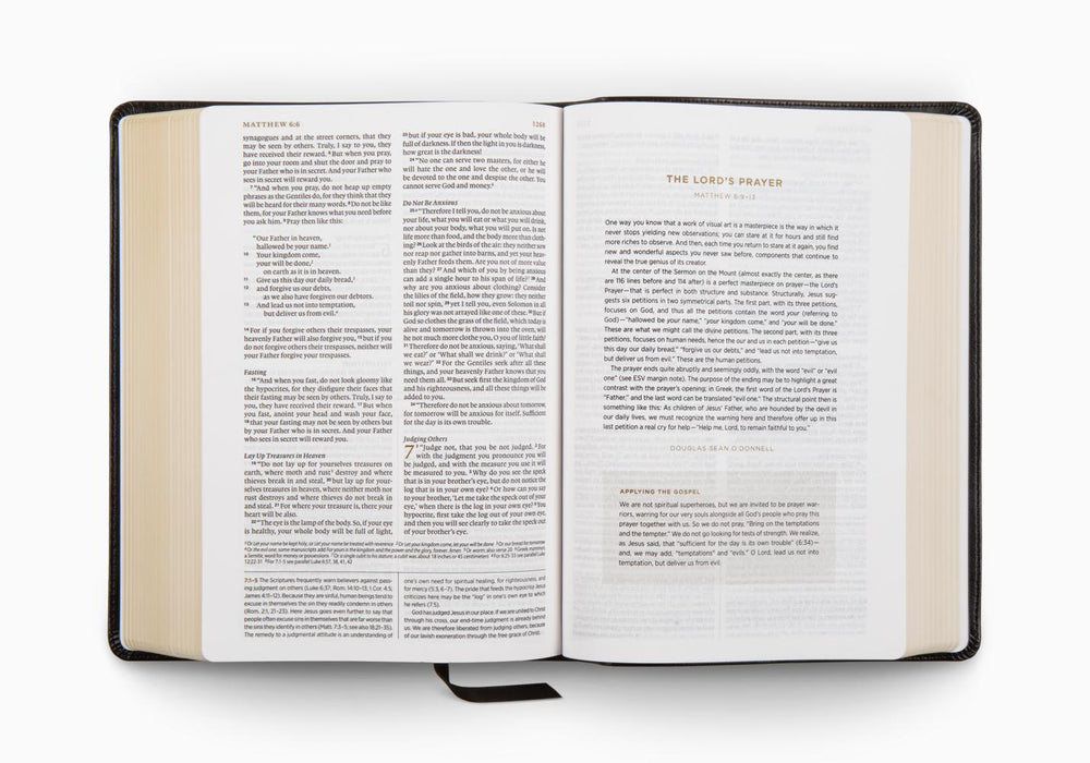 ESV Applying the Gospel Study Bible for Men, TruTone®, Black