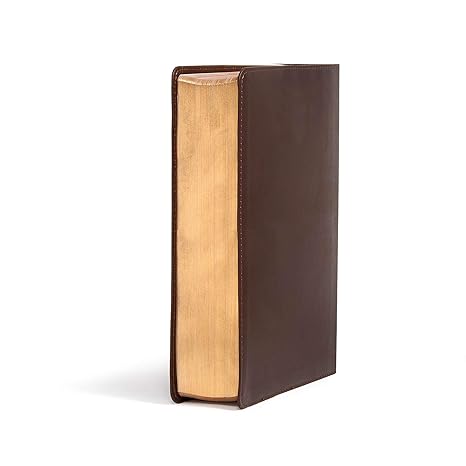 CSB SHE READS TRUTH BIBLE, BROWN GENUINE LEATHER