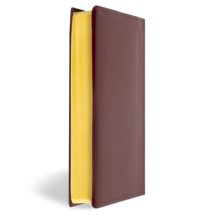 RVR 1960/KJV Biblia bilingüe, borgoña imitación piel (2024 ed.) / RVR 1960/KJV Bilingual Bible, Burgundy Imitation Leather (2024 ed.) (Spanish and English Edition)