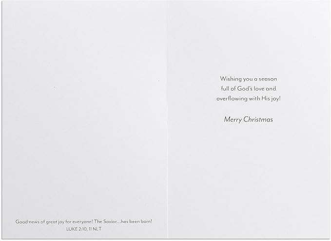 CHRISTMAS BOXED: KatyGirl Joyful-Good Steward