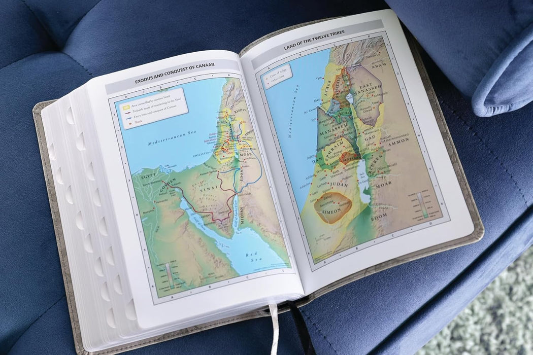 NIV, Compact Center-Column Reference Bible, Leathersoft, Stone, Red Letter, Thumb Indexed, Comfort Print