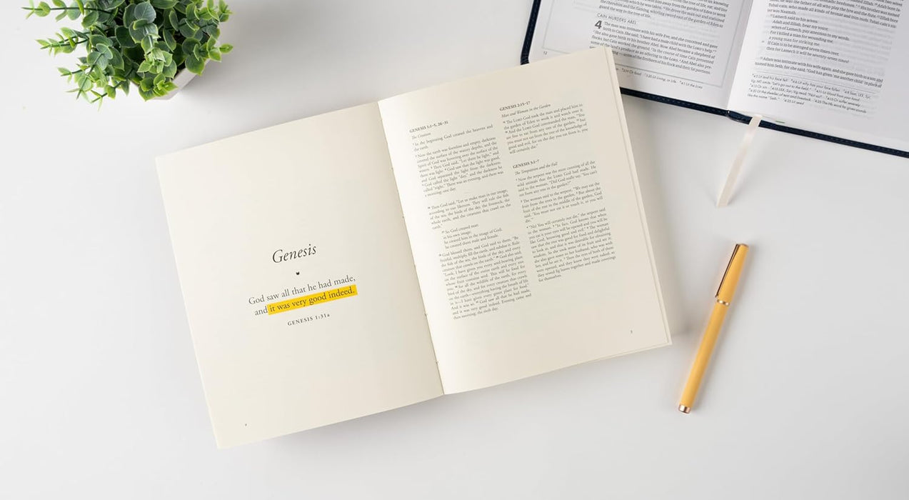 The Bible Is for You by Amanda Bible Williams, Raechel Myers