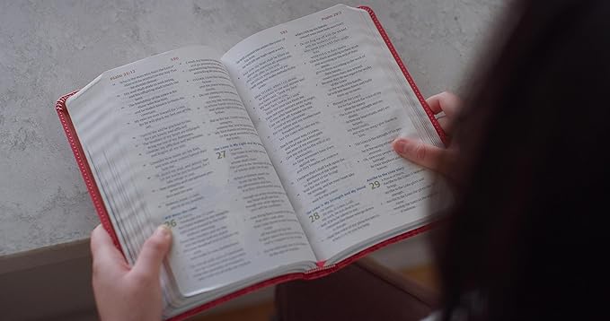 ESV Children's Bible - Coral - Morning Star Christian Bookstores