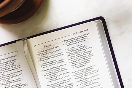 NRSVue, Holy Bible with Apocrypha, Compact, Leathersoft, Purple, Comfort Print - Morning Star Christian Bookstores