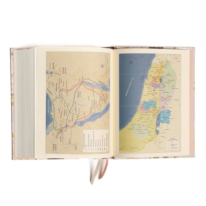 CSB Notetaking Bible Large Print Hosanna Rev Edition, Blush Cloth Over Board - Morning Star Christian Bookstores