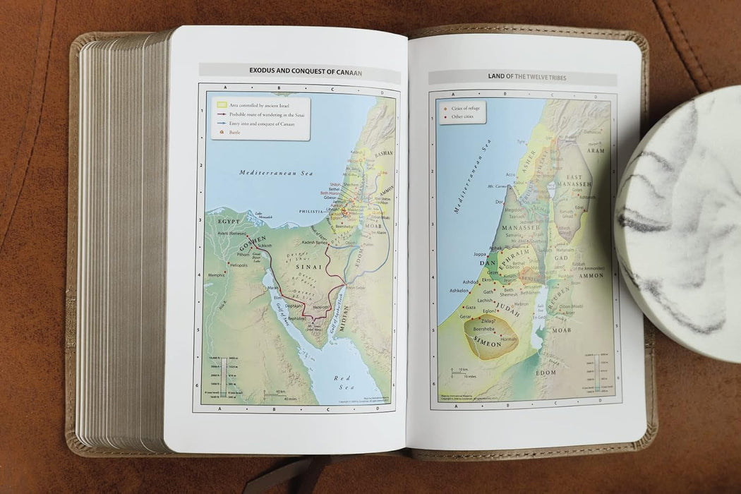 NIV Teen Study Bible Compact Leathersoft Brown