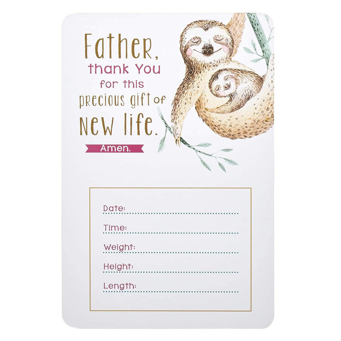 My Baby Girl's Milestone Cards - Morning Star Christian Bookstores