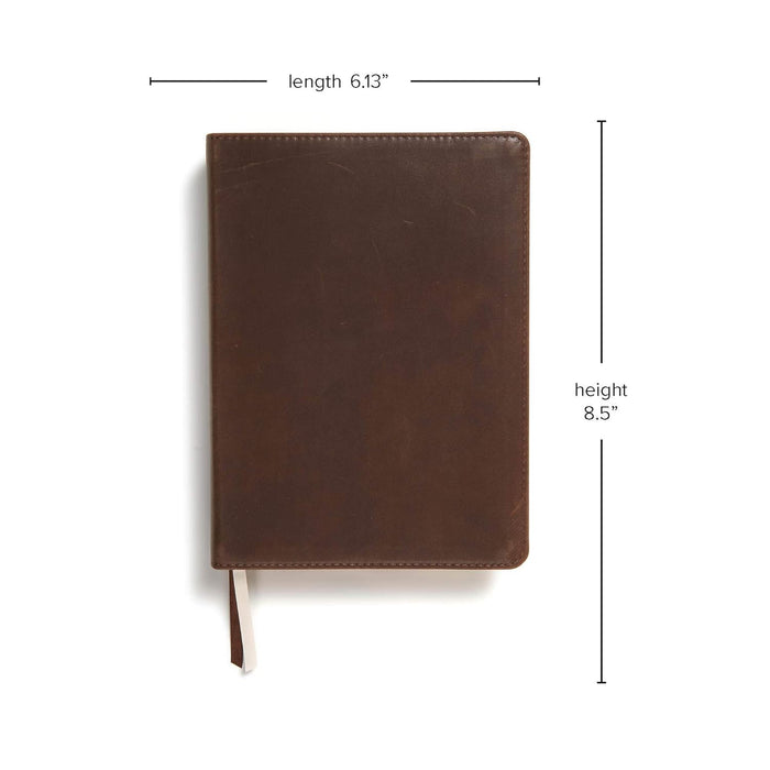 CSB SHE READS TRUTH BIBLE, BROWN GENUINE LEATHER