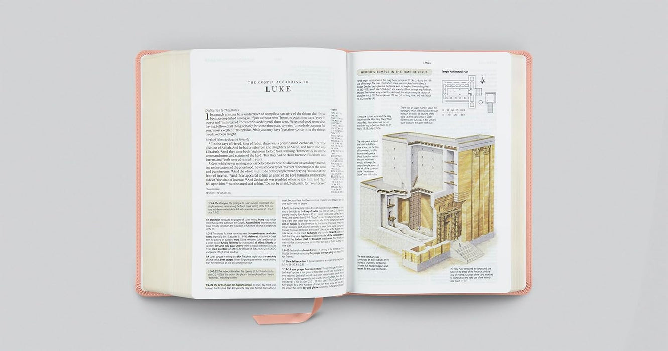 ESV Study Bible (TruTone, Pink, Fleur-de-lis Design)