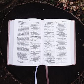 NIV Larger Print Compact Bible Leathersoft Pink Red Letter