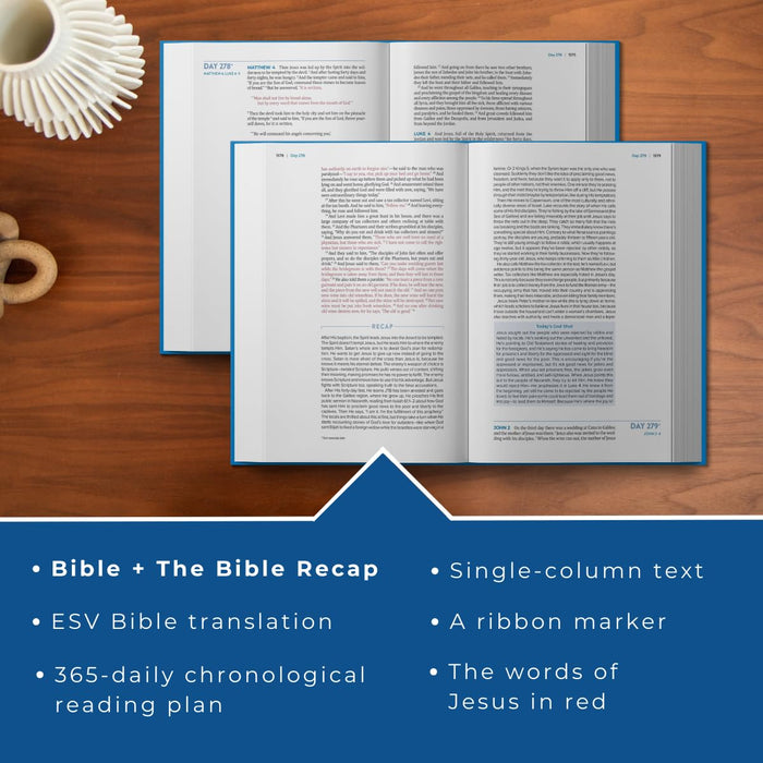 ESV The Bible Recap 365-Day Chronological Study Bible, Hardcover