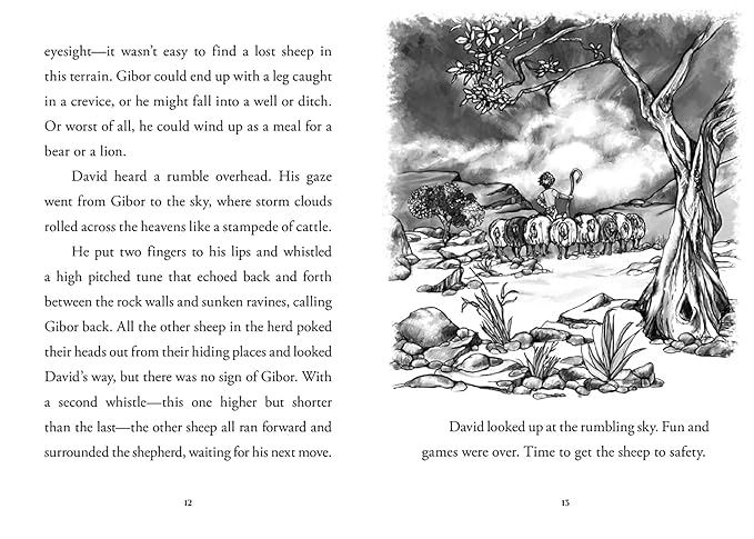 Young David: Shepherd - Morning Star Christian Bookstores