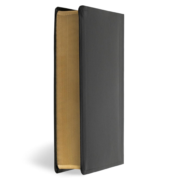 RVR 1960/KJV Biblia bilingüe tamaño personal, negro imitación piel (2024 ed.) / RVR 1960/KJV Bilingual Personal Size Bible, Black Imitation Leather (2024 ed.) (Spanish and English Edition)