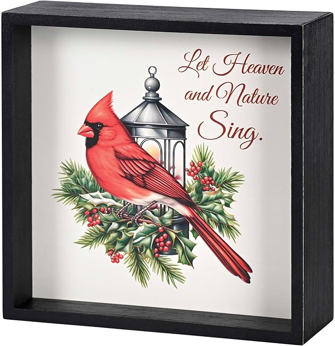 2 Sided Art Cardinal Let Heaven