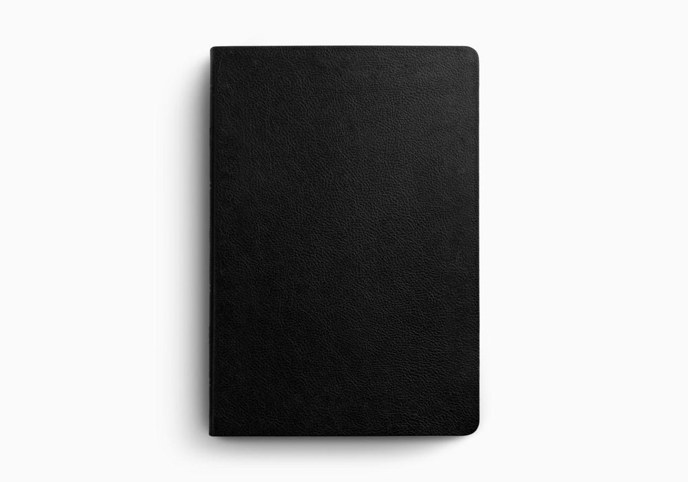 ESV Giant Print Value Thinline Bible, TruTone®, Black