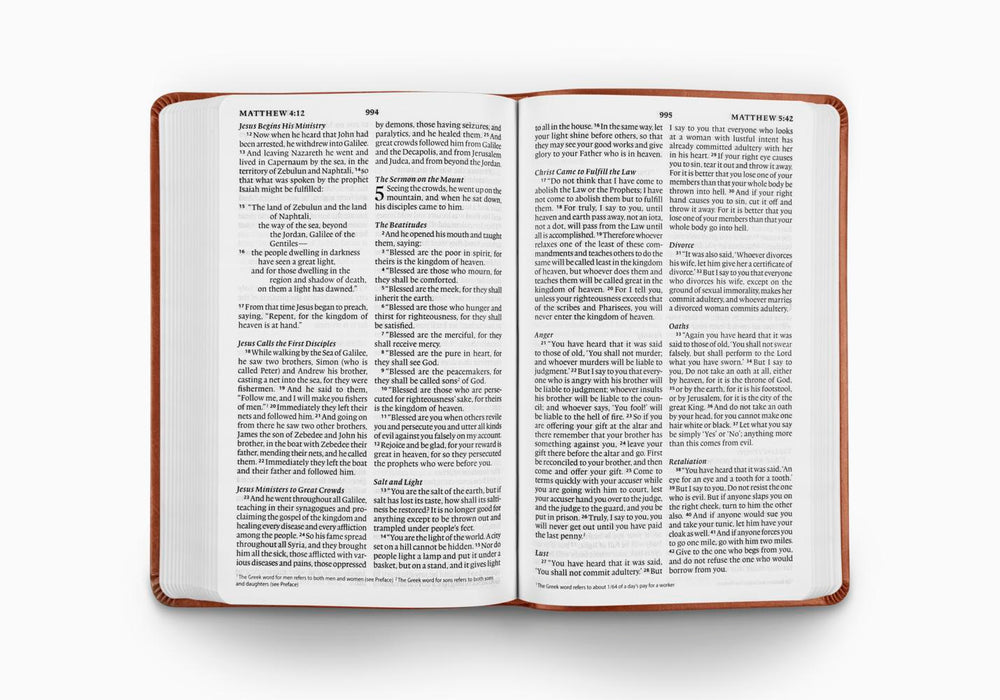 ESV Large Print Value Thinline Bible, TruTone Camel
